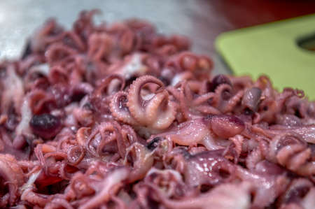 Pickled octopuses, scattering, heap. Ready-made seafood