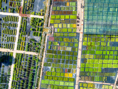 Nursery garden with lush plants on beds and in greenhousesの写真素材
