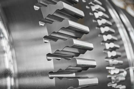 Steam turbine shaft with fir-tree blade fastening at plant