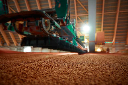 Automatic scraper conveyor potassium mineral fertilizersの写真素材