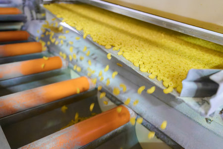 Pasta gracefully gliding along the conveyor belt in a bustling production facility during the afternoon shiftの写真素材