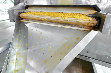 Golden pasta gliding gracefully along a conveyor belt in a bustling production facility, showcasing the rhythm of culinary creationの写真素材