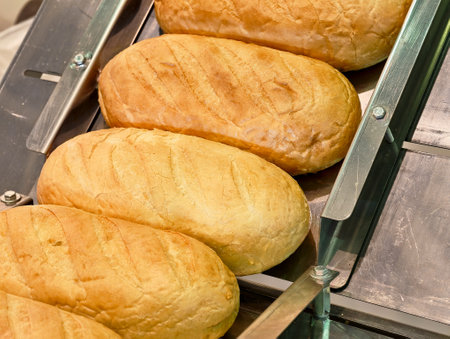 Freshly baked bread rolls resting on a conveyor belt in a warm bakery during early morning hoursの写真素材