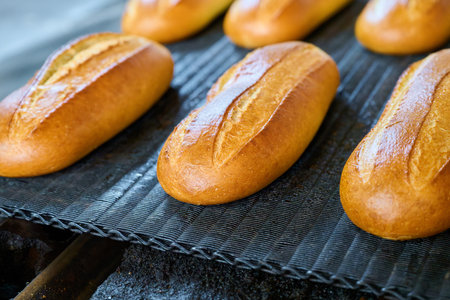 Freshly baked bread rolls emerge from the bakery oven, offering warmth and inviting aromas to everyone nearbyの写真素材