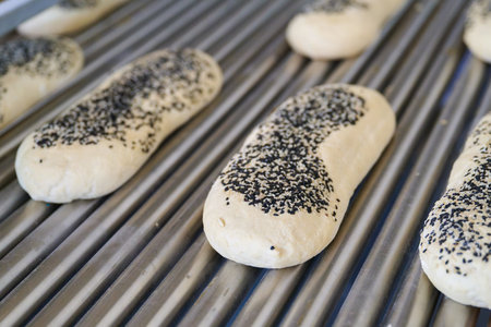 Freshly prepared dough with poppy seeds ready for baking in a commercial bakery plantの写真素材