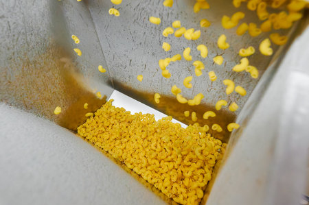 Pasta cascades gracefully into the collection hopper of a busy manufacturing plant as production continues seamlesslyの写真素材