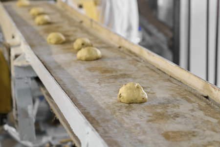 Kulich dough rings move along a conveyor preparing for baking process in a bakery settingの写真素材