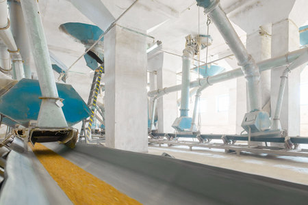 Conveyor system at grain distribution center efficiently transporting wheat within processing facilityの写真素材