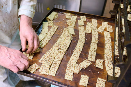 Cracker dough belts arranged neatly on oven trays ready for baking in a bustling kitchenの写真素材