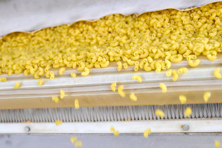 Pasta travels along a conveyor belt in a bustling production facility, showcasing the art of food manufacturing and processing efficiencyの写真素材