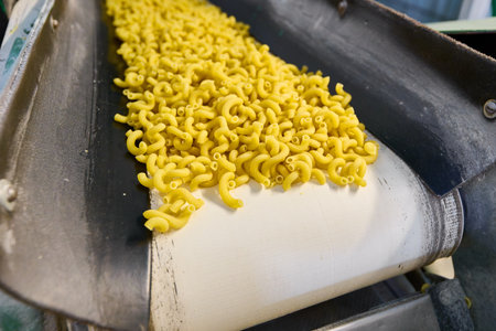 Pasta manufacturing process with uncooked macaroni flowing on conveyor belt in production facilityの写真素材