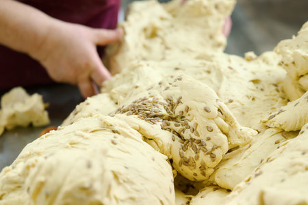 Cracker dough preparation showcases hands-on baking techniques with seasonal flavors in an artisanal kitchen settingの写真素材