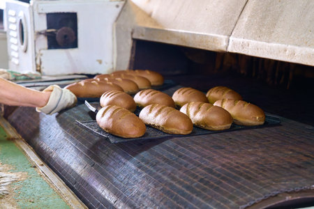 Freshly baked bread rolls are emerging from the bakery oven, ready for customers to enjoy warm and deliciousの写真素材