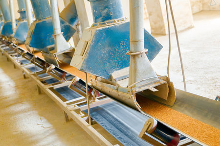 Under-silo conveyor system efficiently transports wheat in grain distribution at a processing facilityの写真素材