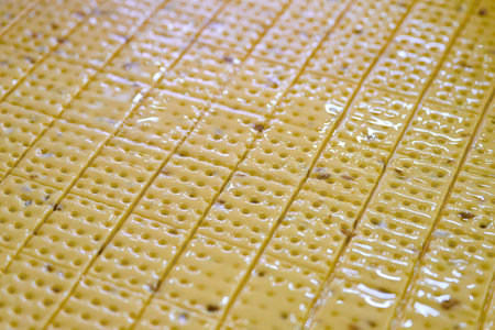 Rolled dough with docker holes moves on conveyor for baking in a commercial kitchenの写真素材