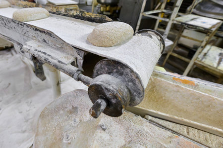 Dough traveling on conveyor system in a bakery during production process in a commercial setting