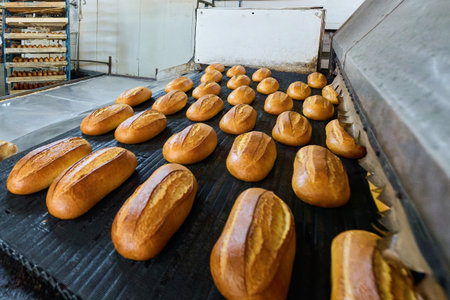 Freshly baked bread rolls emerge from the hot bakery oven, golden brown and steaming with warmth,...