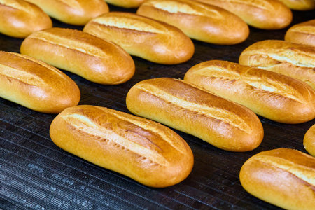 Freshly baked bread rolls emerging from the bakery oven in warm golden hues and delightful textures