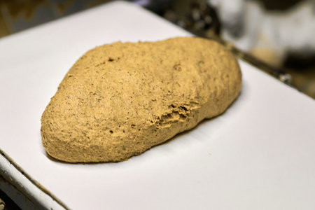 Fresh dough on the conveyor belt ready for processing in a commercial bakery during morning hours