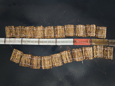 Water log storage setup on a floating platform with logs arranged neatly for transportation