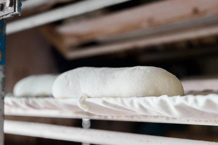 Dough resting on a rack before shaping and baking process beginsの写真素材