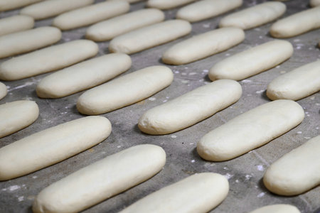 Dough loaves lined up to rise at a bustling bakery plant during working hoursの写真素材