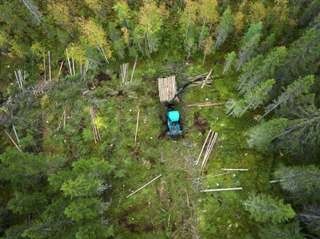 Timber harvesting in a forest area with machinery captured from an aerial view during late summer