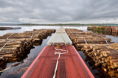 Logs are being transported on a floating platform in calm water under cloudy skies near a serene landscapeの写真素材
