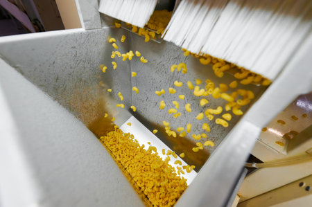 Pasta production in action as golden noodles cascade into the collection hopper at a busy manufacturing facilityの写真素材