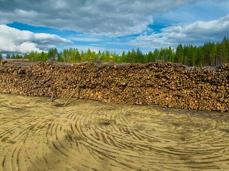 Temporary timber storage area with stacked logs under a cloudy sky in a forested location
