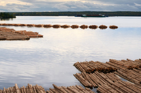 Logs floating on a calm lake with a barge in the distance under cloudy skies in a serene natural settingの写真素材