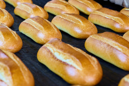Freshly baked bread rolls coming out of the bakery oven with a golden crust and delicious aroma
