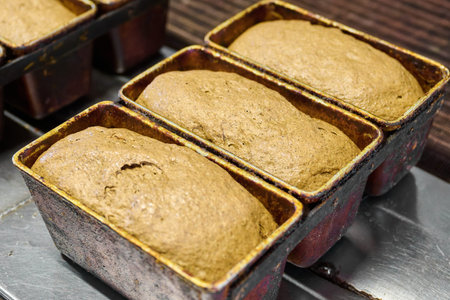 Fermented dough in loaf pans ready for baking at commercial bakery facility