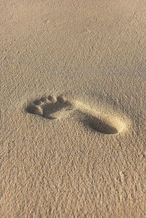 Footprint の写真素材