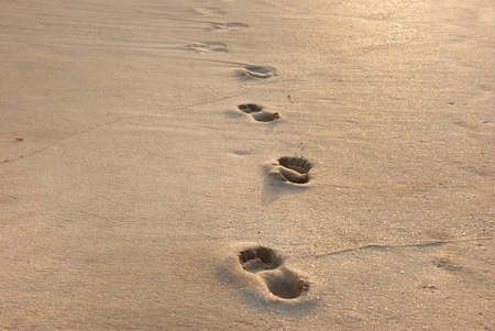 Footprint の写真素材