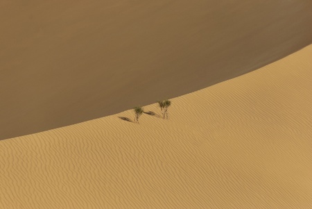 Sandy dunesの写真素材