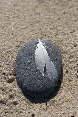 white quill on black stone on brown sandの写真素材