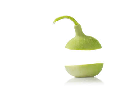ball calabash isolate on white backgroundの写真素材