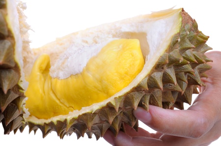 Closeup yellow durian in hand.