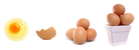 closeup group of fresh eggs isolate on white backgroundの写真素材