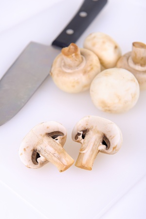 Champignon mushroomの写真素材