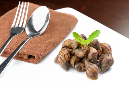 snails be alive on white plate, fake foodの写真素材