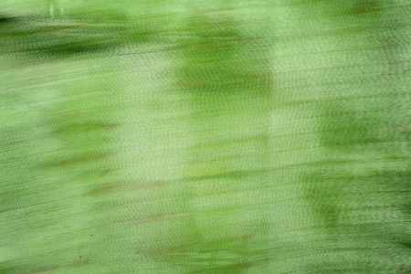 closeup detail of burned banana leaf textureの写真素材