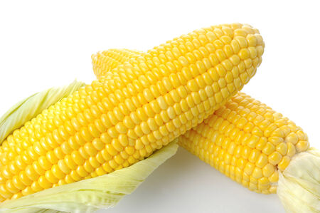 fresh corn isolated on white background