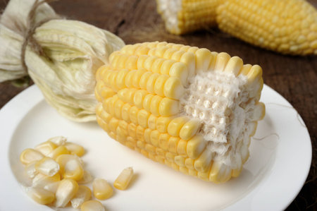closeup detail of fresh corn
