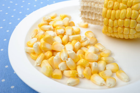 closeup detail of fresh cornの写真素材