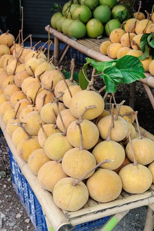 closeup santol in Thailand fruit marketの写真素材