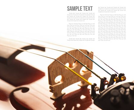 abstract violin on white background templateの写真素材