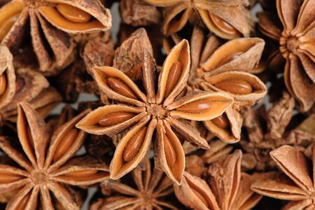 closeup details of star aniseの写真素材