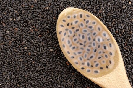 closeup sweet basil seeds on wooden spoonの写真素材